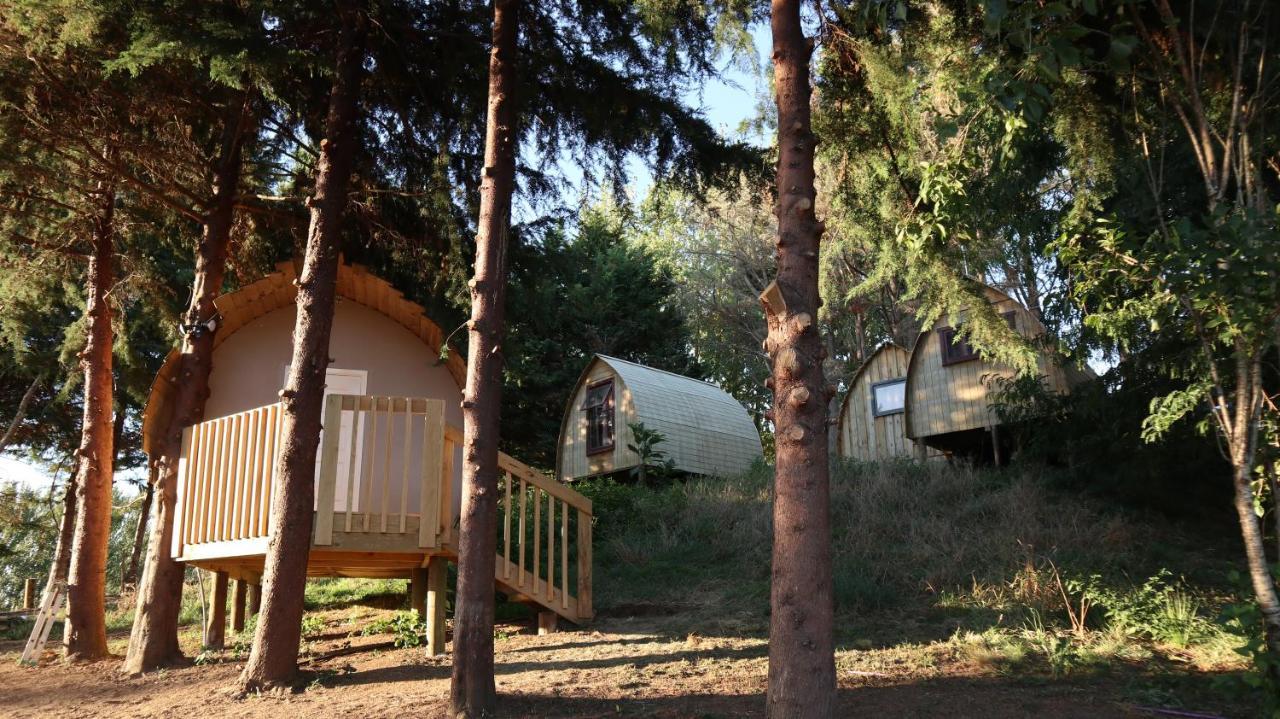 Hamilton Golf Lodge Exterior foto